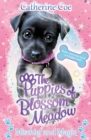 Image for Mischief and Magic (Puppies of Blossom Meadow #2)