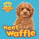 Image for Meet Waffle!