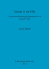 Image for Insects in the City: An archaeoentomological perspective on London&#39;s past : An archaeoentomological perspective on London&#39;s past