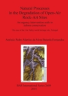 Image for Natural Processes in the Degradation of Open-Air Rock-Art Sites