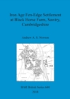 Image for Iron Age Fen-Edge Settlement at Black Horse Farm, Sawtry, Cambridgeshire