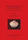 Image for The Life on the Edge: Papers on the Archaeology of Blue Creek : Wealth, Social Organization and Ritual