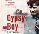 Image for Gypsy Boy : One Boy&#39;s Struggle to Escape from a Secret World