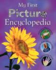 Image for Children&#39;s Picture Encyclopedia