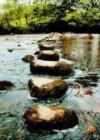 Image for Counselling skills for health professionals