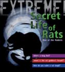 Image for Secret life of rats  : rise of the rodents