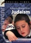Image for A journey through life in Judaism