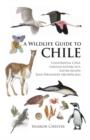 Image for A Wildlife Guide to Chile