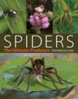Image for Spiders  : the ultimate predators