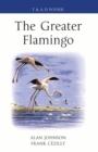 Image for The Greater Flamingo