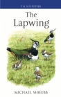 Image for The Lapwing