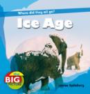 Image for Ice Age  : where did they all go?