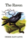 Image for The Raven: A Natural History in Britain and Ireland