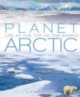 Image for Planet Arctic  : life at the top of the world