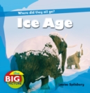 Image for Ice Age  : where did they all go?