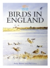 Image for Birds in England