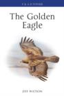 Image for The golden eagle