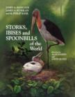 Image for Storks, ibises and spoonbills of the world