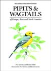 Image for Pipits &amp; wagtails of Europe, Asia and North America: identification and systematics