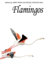 Image for Flamingos : 84