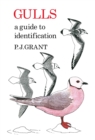 Image for Gulls: A Guide to Identification