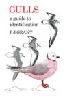 Image for Gulls: A Guide to Identification. 2nd Edition