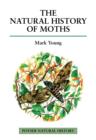 Image for The Natural History of Moths