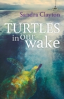 Image for Turtles in our wake