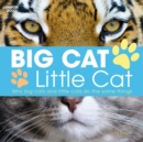 Image for Big Cat, Little Cat