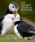 Image for The Secret Lives of Puffins