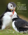 Image for The secret lives of puffins