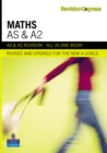 Image for Maths  : A-level study guide
