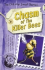 Image for Bug Club Grey B/4C Charlie Small :The Chasm of the Killer Bees 6-pack