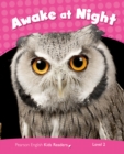 Image for Level 2: Awake at Night CLIL