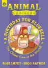 Image for Colour Crackers: Birthday For Bluebell