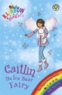 Image for Caitlin the ice bear fairy