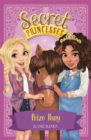 Image for Secret Princesses: Prize Pony