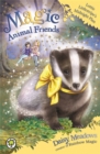Image for Magic Animal Friends: Lottie Littlestripe&#39;s Midnight Plan