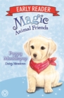 Image for Magic Animal Friends Early Reader: Poppy Muddlepup