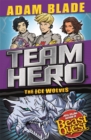 Image for Team Hero: The Ice Wolves