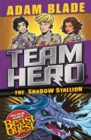 Image for Team Hero: The Shadow Stallion