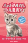 Image for Animal Ark, New 1: The Purrfect Sleepover