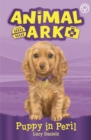 Image for Animal Ark, New 4: Puppy in Peril