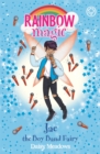 Image for Rainbow Magic: Jae the Boy Band Fairy