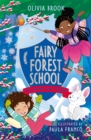 Image for Fairy Forest School: The Snowflake Charm