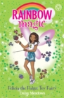 Image for Rainbow Magic: Felicia the Fidget Toy Fairy