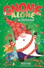 Image for Gnome alone at Christmas