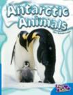 Image for Antarctic Animals Fast Lane Blue Non-Fiction