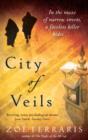 Image for City of Veils