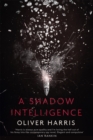 Image for A shadow intelligence
